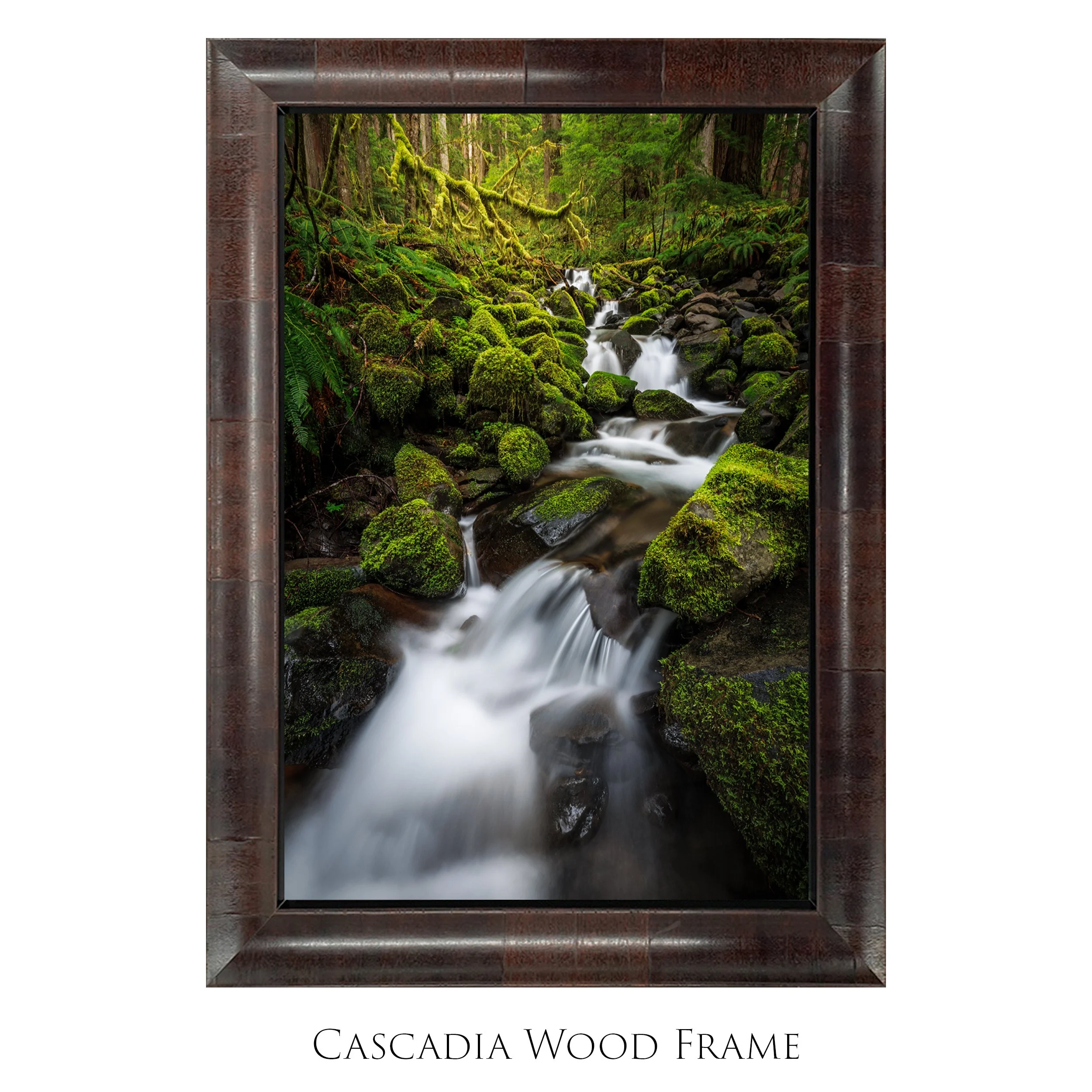 Pacific Northwest — Nature and Landscape Photography Print Shop